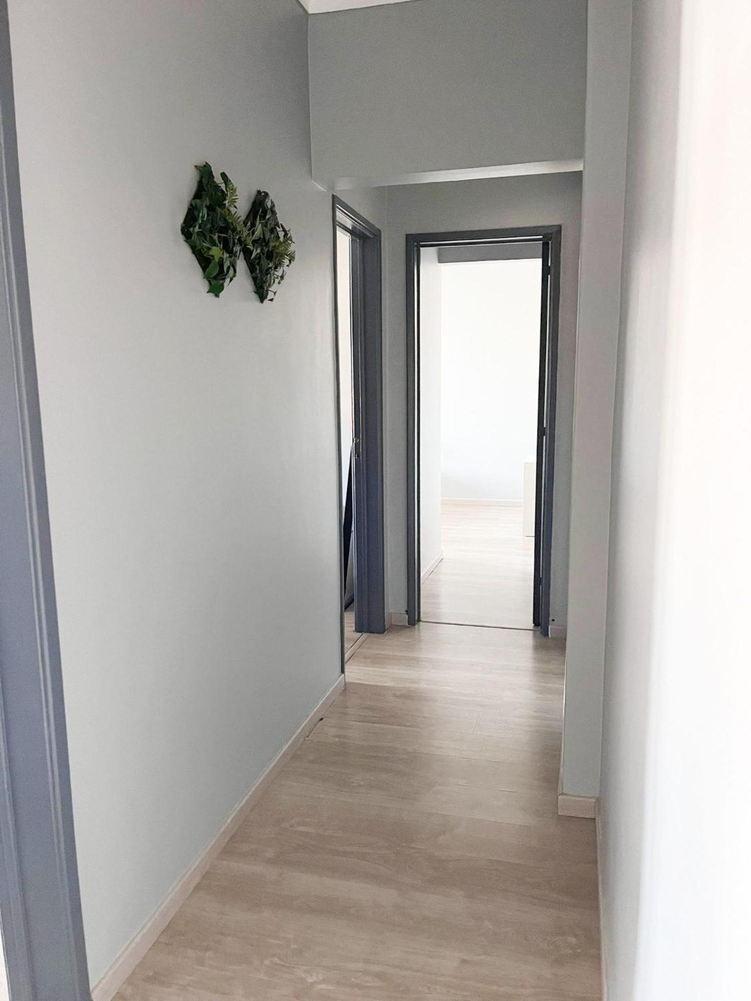 Luna Apartment 코호이우스 외부 사진